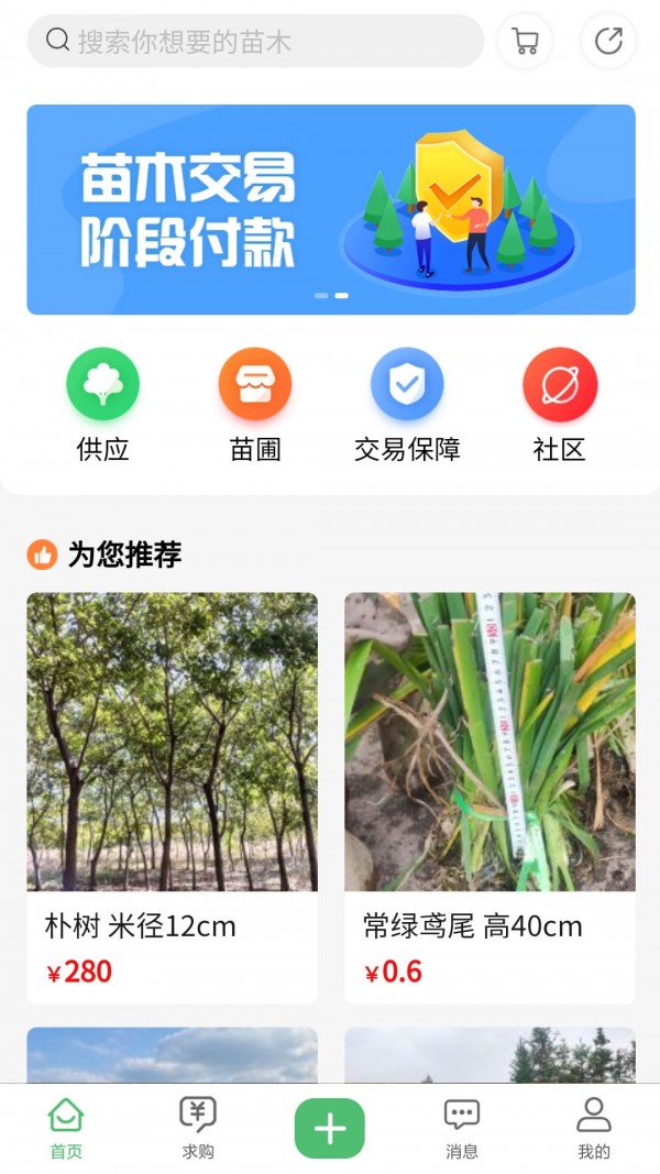 苗青青  v1.0.0图3