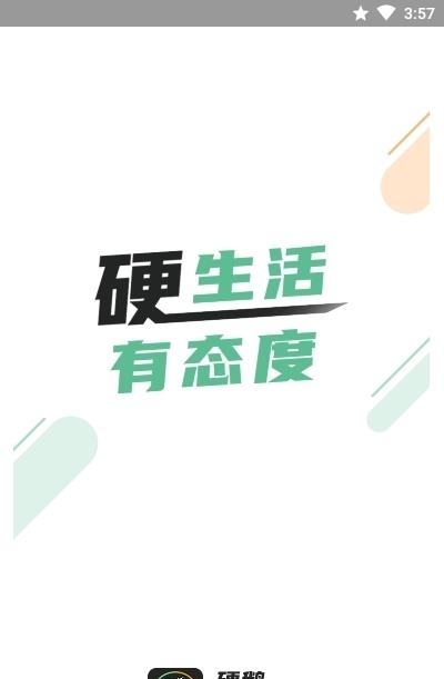 硬鹅  v1.2.4图2