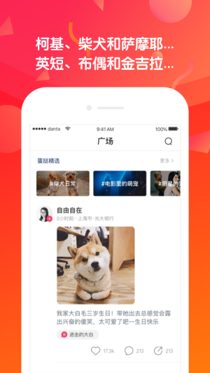 蛋挞短视频app