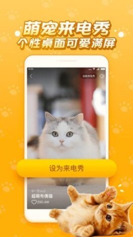 逗猫咪  v6.6.6.2图2