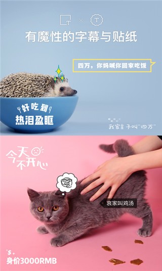 猫饼app下载  v2.0.0图1