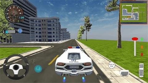 真正的豪华警车  v1.2图2