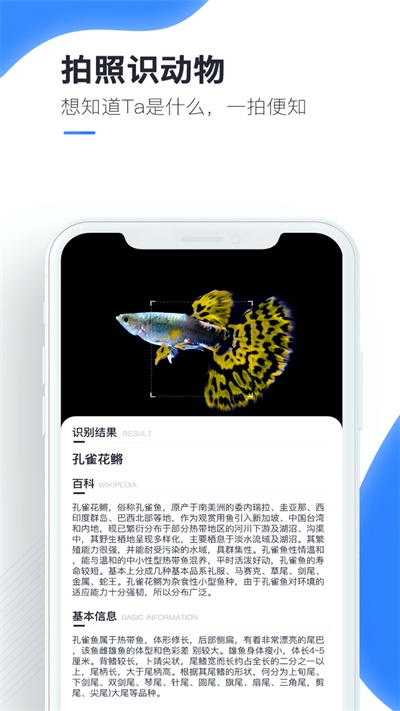 百科扫描王免费下载软件安装  v1.0.0图1