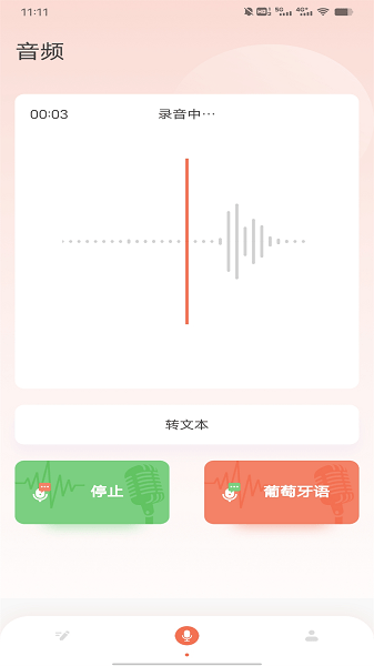 葡萄牙语翻译  v1.0.2图3