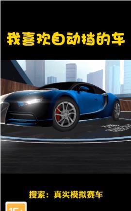 真实模拟赛车  v1.2.0图1