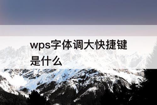 wps字体调大快捷键是什么