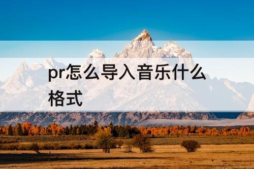 pr怎么导入音乐什么格式