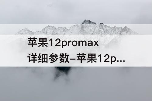 苹果12promax详细参数-苹果12promax详细参数美版