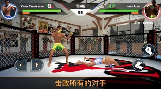 MMA格斗比赛3d  v1.0.0图1