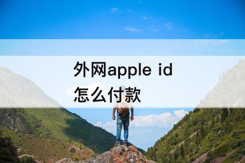 外网apple id怎么付款