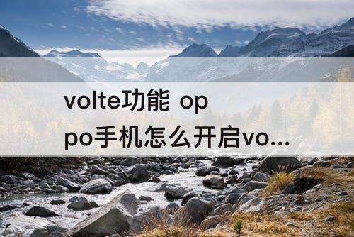 volte功能 oppo手机怎么开启volte功能