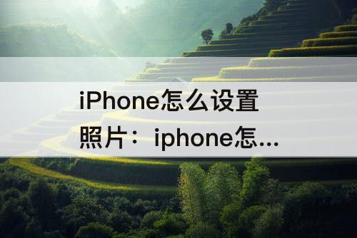 iPhone怎么设置照片：iphone怎么设置照片格式为jpg