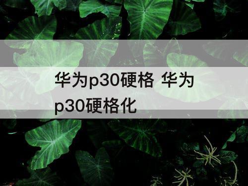 华为p30硬格 华为p30硬格化