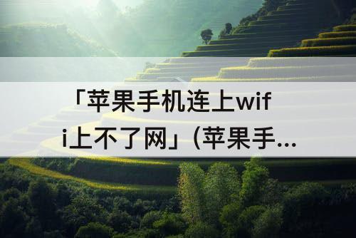 「苹果手机连上wifi上不了网」(苹果手机连上wifi上不了网怎么办)