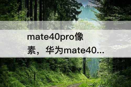 mate40pro像素，华为mate40pro像素怎么调最高