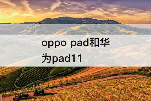 oppo pad和华为pad11