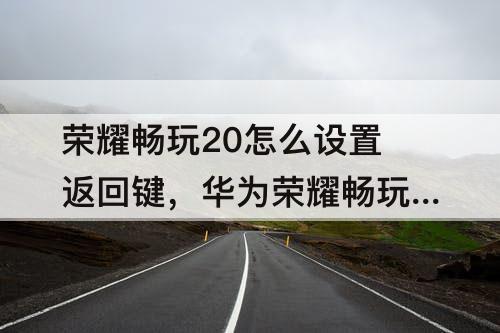 荣耀畅玩20怎么设置返回键，华为荣耀畅玩20怎么设置返回键振动