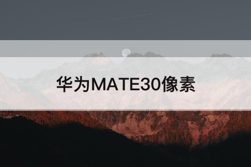 华为MATE30像素