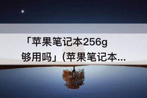 「苹果笔记本256g够用吗」(苹果笔记本256g够用吗办公)