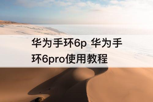 华为手环6p 华为手环6pro使用教程