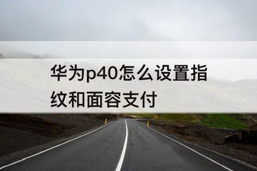 华为p40怎么设置指纹和面容支付