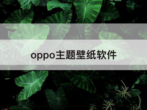 oppo主题壁纸软件