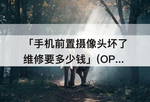 「手机前置摄像头坏了维修要多少钱」(OPPO手机前置摄像头坏了维修要多少钱)