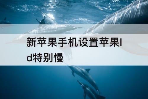 新苹果手机设置苹果Id特别慢