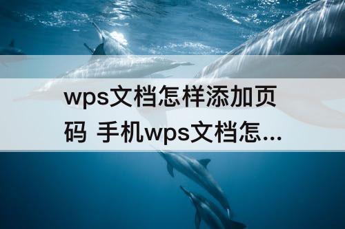 wps文档怎样添加页码 手机wps文档怎样添加页码