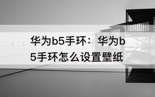 华为b5手环：华为b5手环怎么设置壁纸