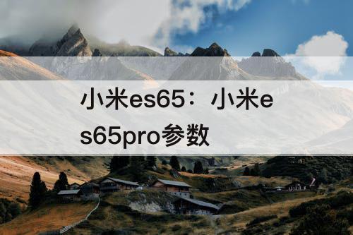 小米es65：小米es65pro参数