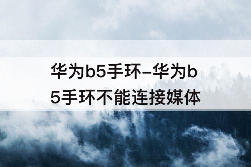 华为b5手环-华为b5手环不能连接媒体