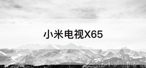 小米电视X65