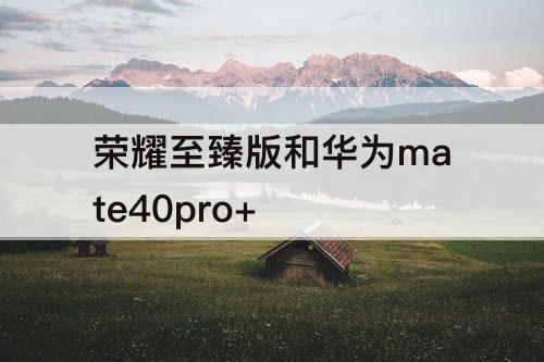 荣耀至臻版和华为mate40pro+