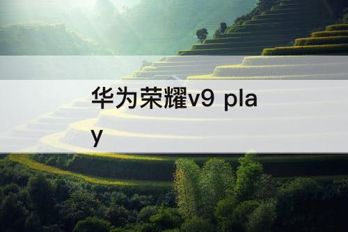 华为荣耀v9 play