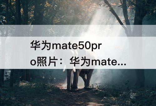 华为mate50pro照片：华为mate50pro照片水印