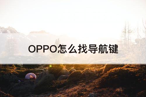 OPPO怎么找导航键