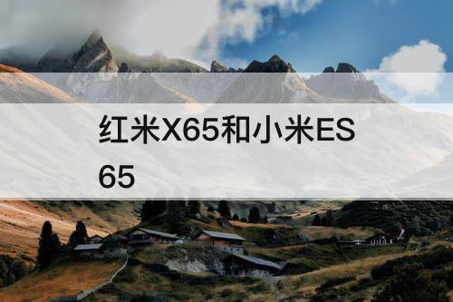 红米X65和小米ES65