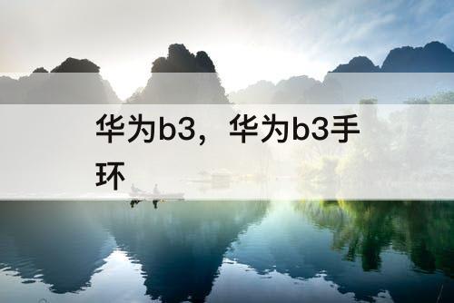 华为b3，华为b3手环