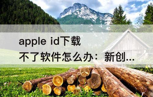 apple id下载不了软件怎么办：新创建的apple id下载不了软件怎么办