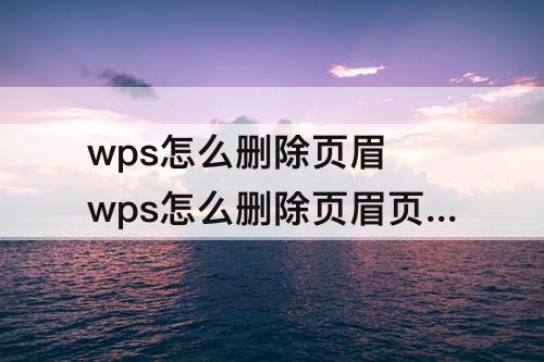 wps怎么删除页眉 wps怎么删除页眉页脚的横线