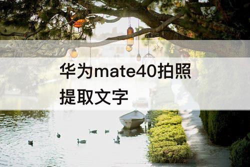 华为mate40拍照提取文字