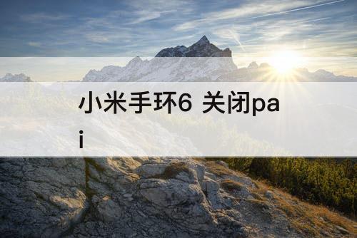 小米手环6 关闭pai