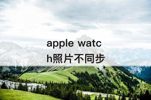 apple watch照片不同步