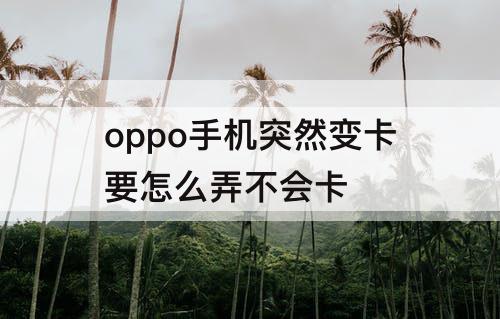 oppo手机突然变卡要怎么弄不会卡