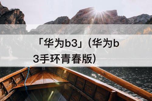 「华为b3」(华为b3手环青春版)