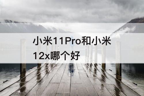 小米11Pro和小米12x哪个好