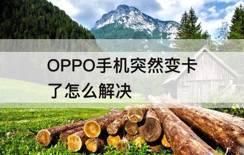 OPPO手机突然变卡了怎么解决