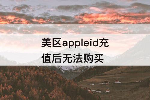 美区appleid充值后无法购买