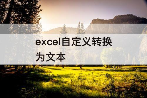 excel自定义转换为文本